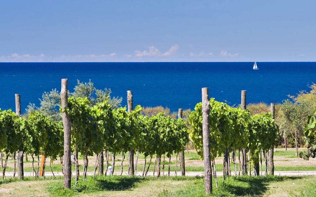Mobile Homes Premium Vista Mare Park Umag By Camp4You Exterior photo